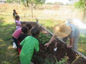 Gardening with Susie