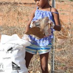 Cleaning up Warralong