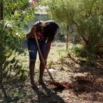 National-Tree-Day_02